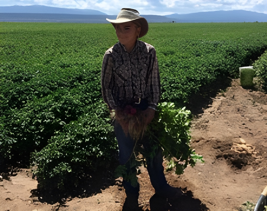 Pionera ley de Colorado permitirá a agricultores reparar sus maquinarias