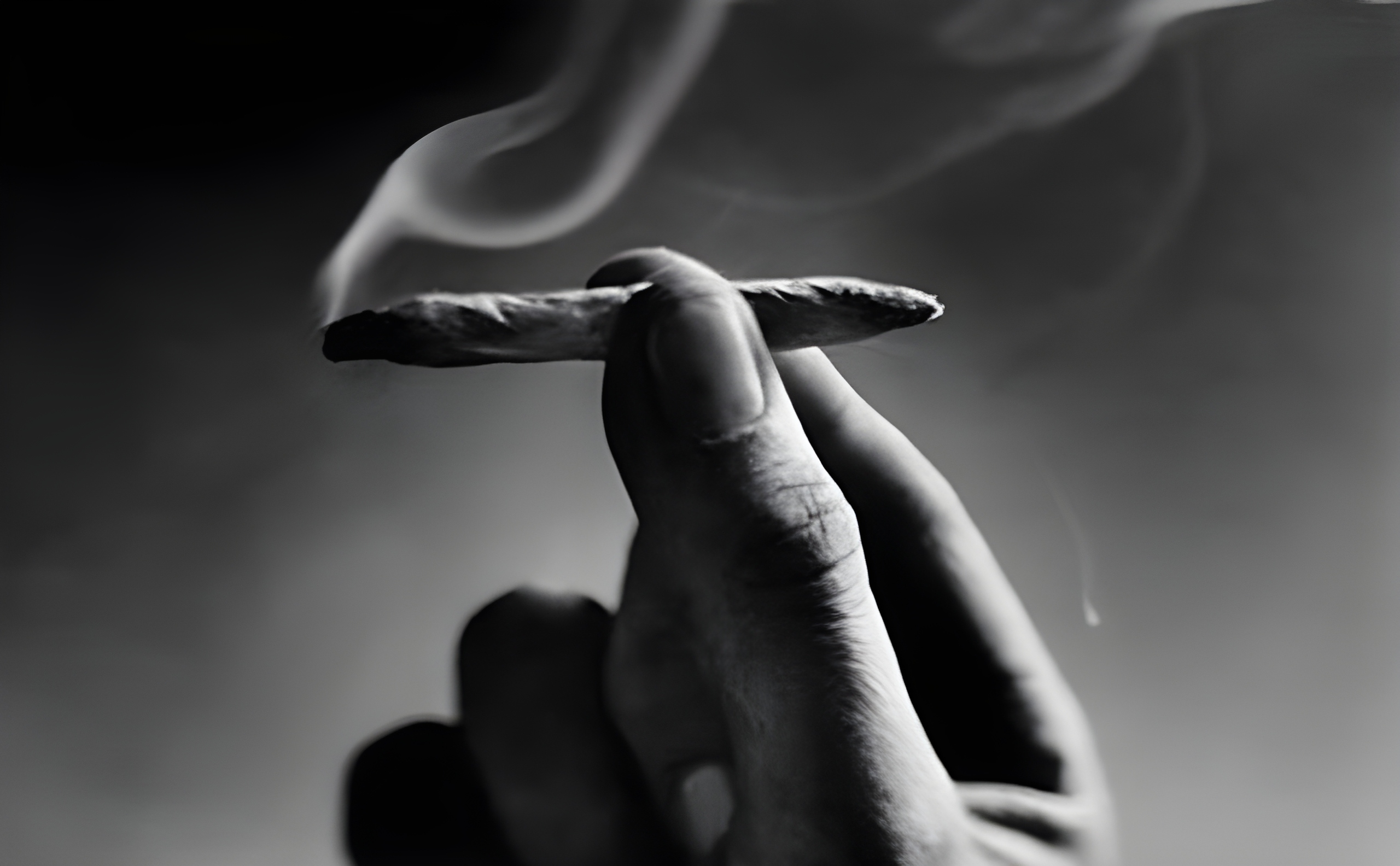 W Fresno, golpeado por la guerra contra las drogas, busca la equidad social con licencias para venta de mariguana