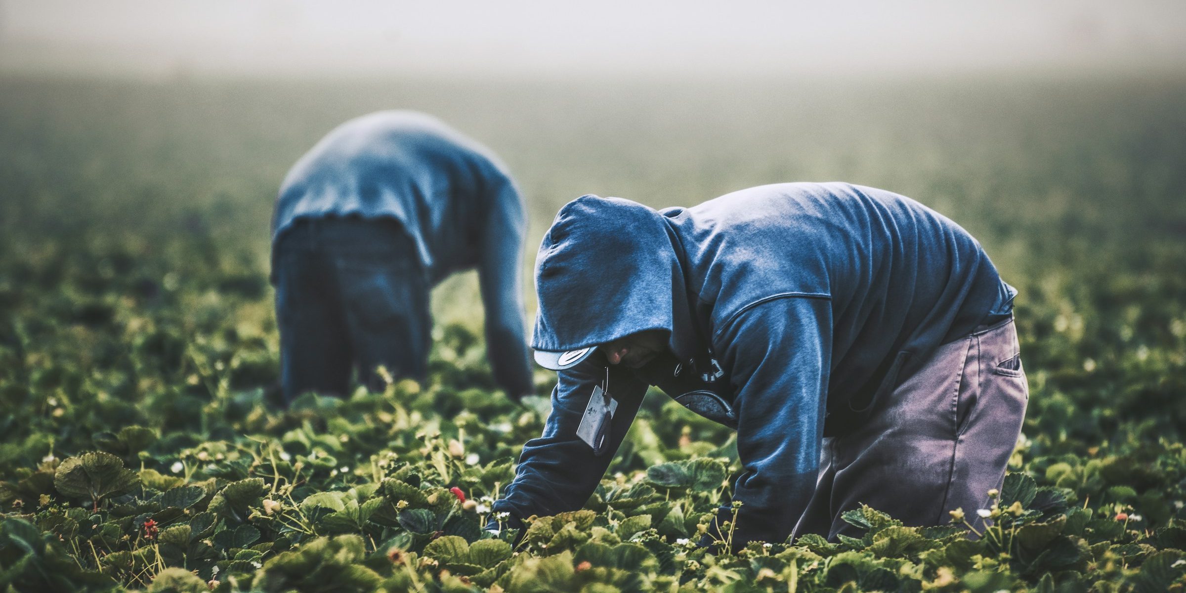 New Protections for Migrant Workers