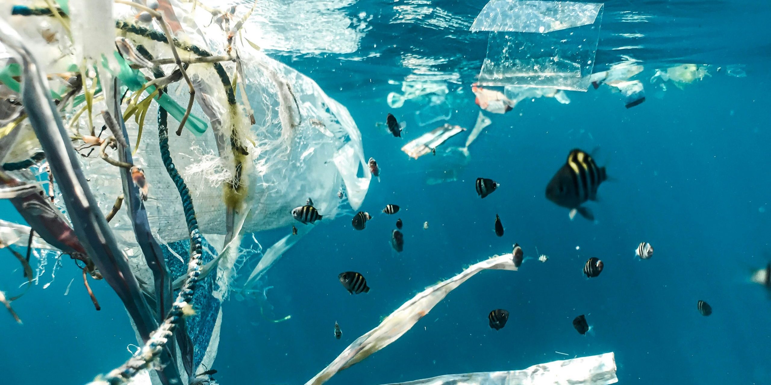Plásticos en los océanos
